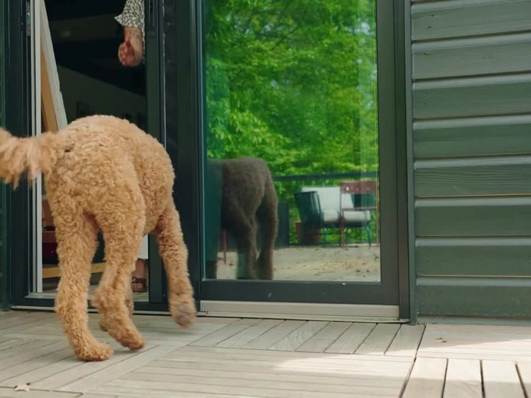 Sincan Sineklik Fiyatları Haşerelere Karşı Zarif ve Estetik Koruma