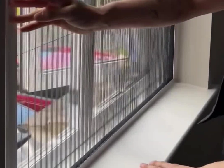 Sincan Sineklik Fiyatları Uzun Ömürlü Sineklikler Temizliği ve Bakımı Kolay